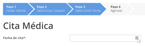 Seleccionar fecha cita previa IMSS