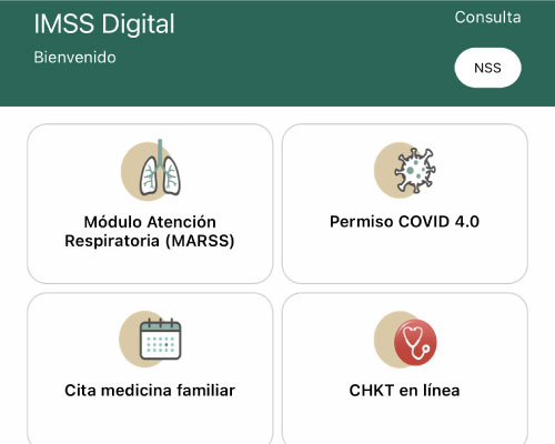 Inicio IMSS digital