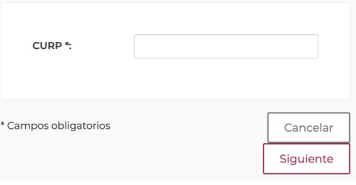Introducir CURP para crear cuenta en IMSS digital