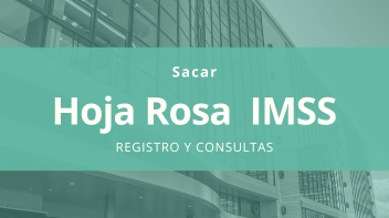 Obtener Hoja Rosa Del IMSS Y NSS En Línea: Guía Actualizada